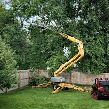 Best Sod Installation  in Sumner, WA